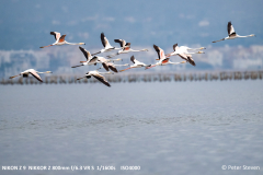 Ebro-Delta-15