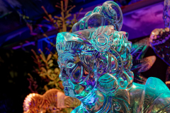 DSC_0047_DxO