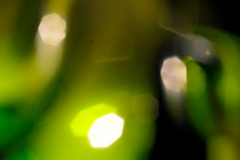 Light-Painting