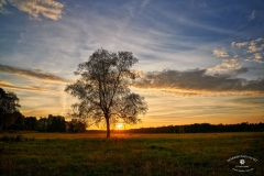 FLZ0259_C1