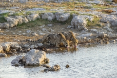Namibia