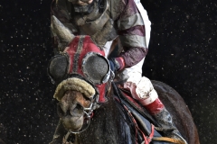 Galopp Dortmund