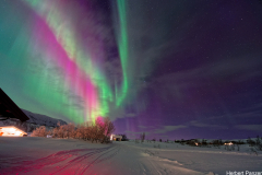 DSC_0150_DxO DSC_0150_DxO