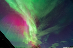 DSC_0153_DxO DSC_0153_DxO