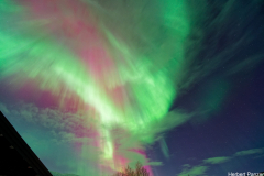 DSC_0154_DxO DSC_0154_DxO