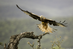 Extremadura-Spanien-11