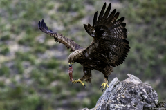 Extremadura-Spanien-12