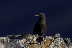 Extremadura-Spanien-14