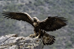 Extremadura-Spanien-2