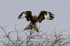 Extremadura-Spanien-4