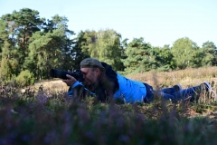 Westruper Heide