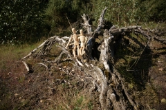 Westruper Heide