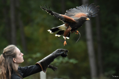 Wildpark Frankenhof