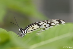 Zoo Krefeld