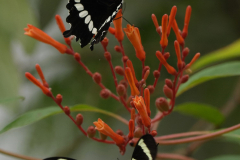 Zoo Krefeld