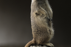 Zoo Krefeld