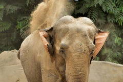 Zoo Krefeld