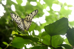 Zoo Krefeld